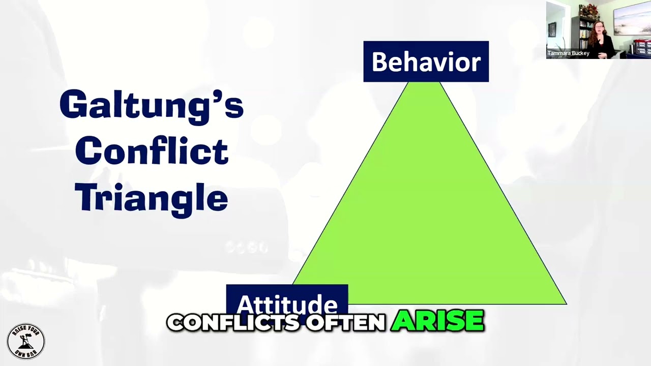 The ABC Model: How Attitude, Behavior, and Context Influence Conflict Resolution