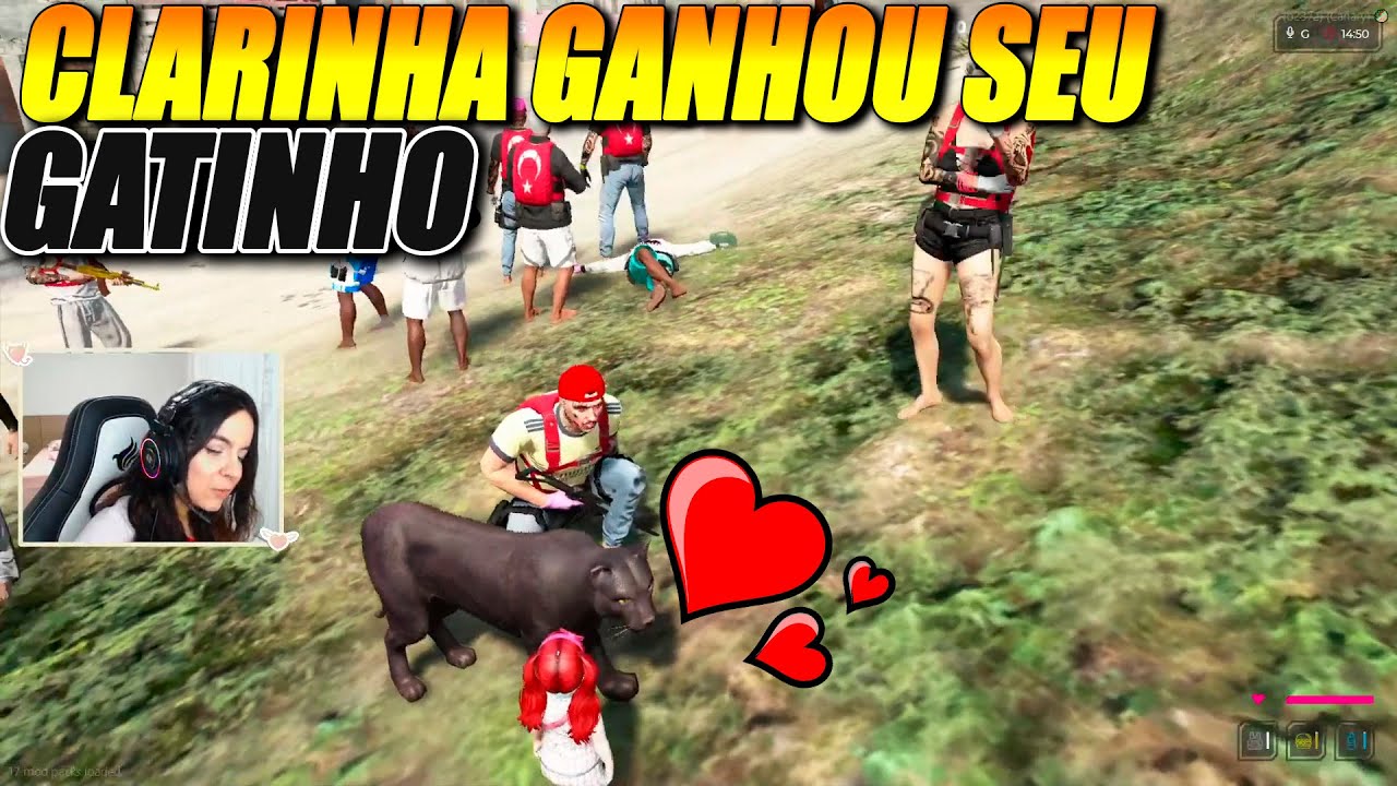 CLARINHA GANHO SEU GATINHO😍❤️