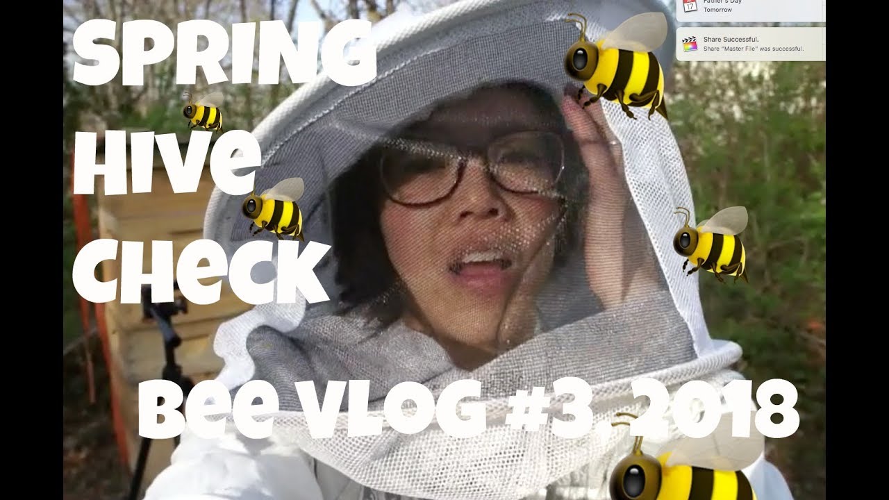 First Full Inspection of My Overwintered Hive | 4/28/2018 - Bee Vlog#3