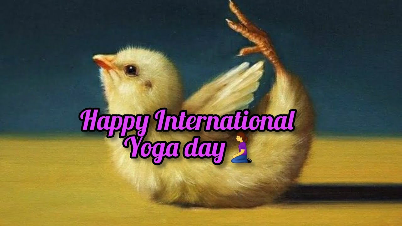 Happy International Yoga Day🧎&zwj;♀️|| Beautiful Quotes ❤