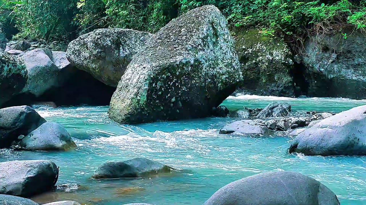 Riverbank Tranquility for Restful Dreams