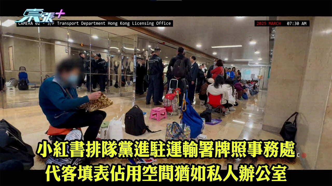 東張西望｜小紅書排隊黨進駐運輸署牌照事務處 代客填表佔用空間猶如私人辦公室｜運輸署｜小紅書｜排隊黨｜牌照事務處｜李旻芳