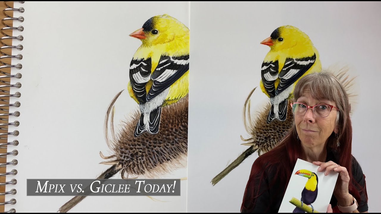 ☞ FINE ART GICLÉE PRINT COMPARISON | NEW PUPPY! | Story 37