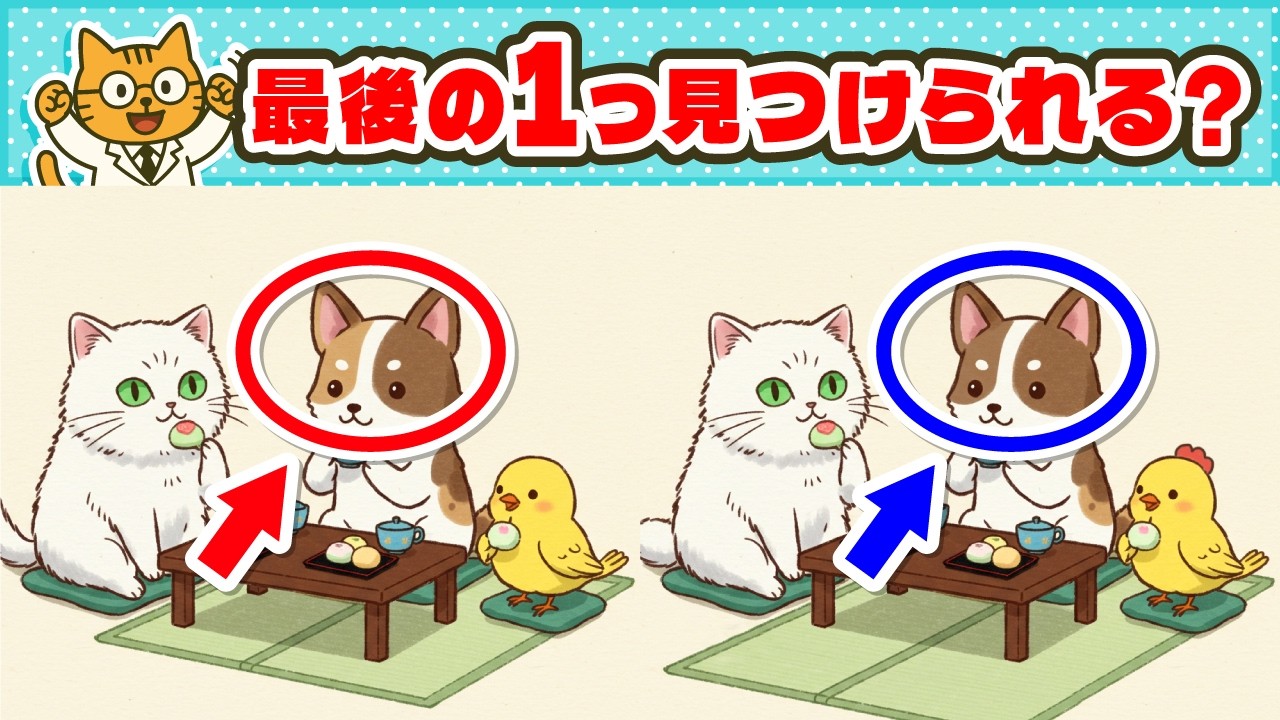 【間違い探し】３分で３問！簡単脳活タイム！【にゃー太の脳トレ】No.132