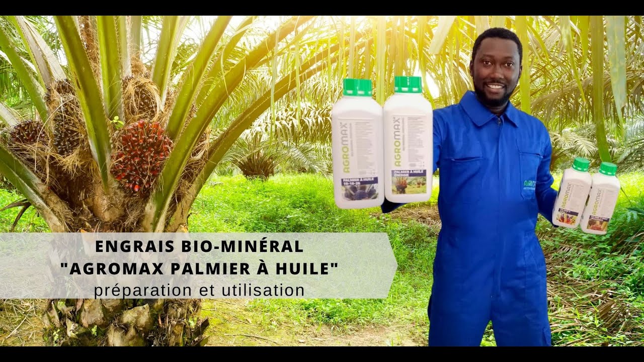 Préparation de la solution du traitement d'AGROMAX PALMIER À HUILE