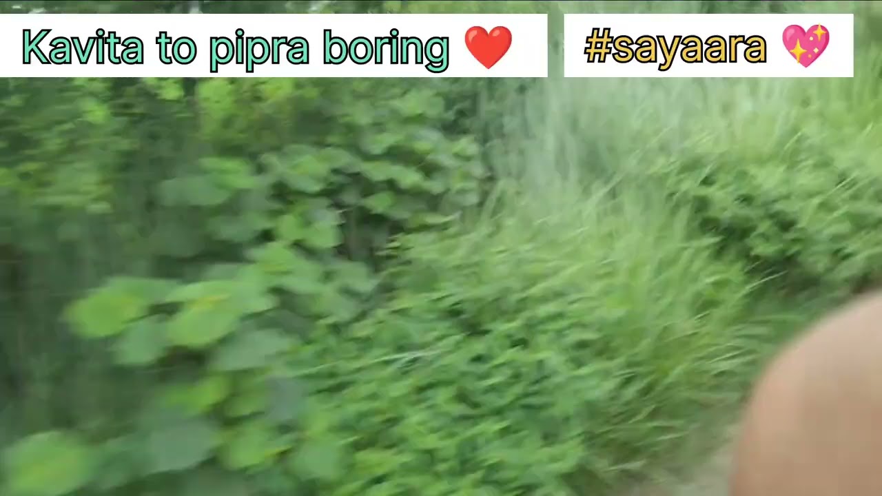 Kavita to pipra boring ❤️ 