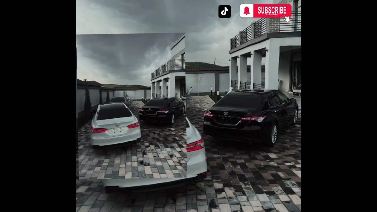 trend-music-/ knight 