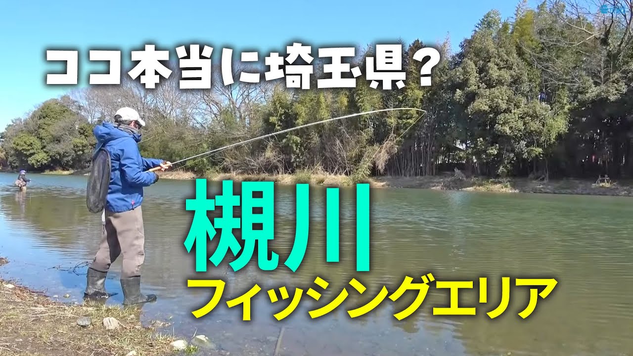 埼玉県の槻川フィッシングエリアでフライフィッシング