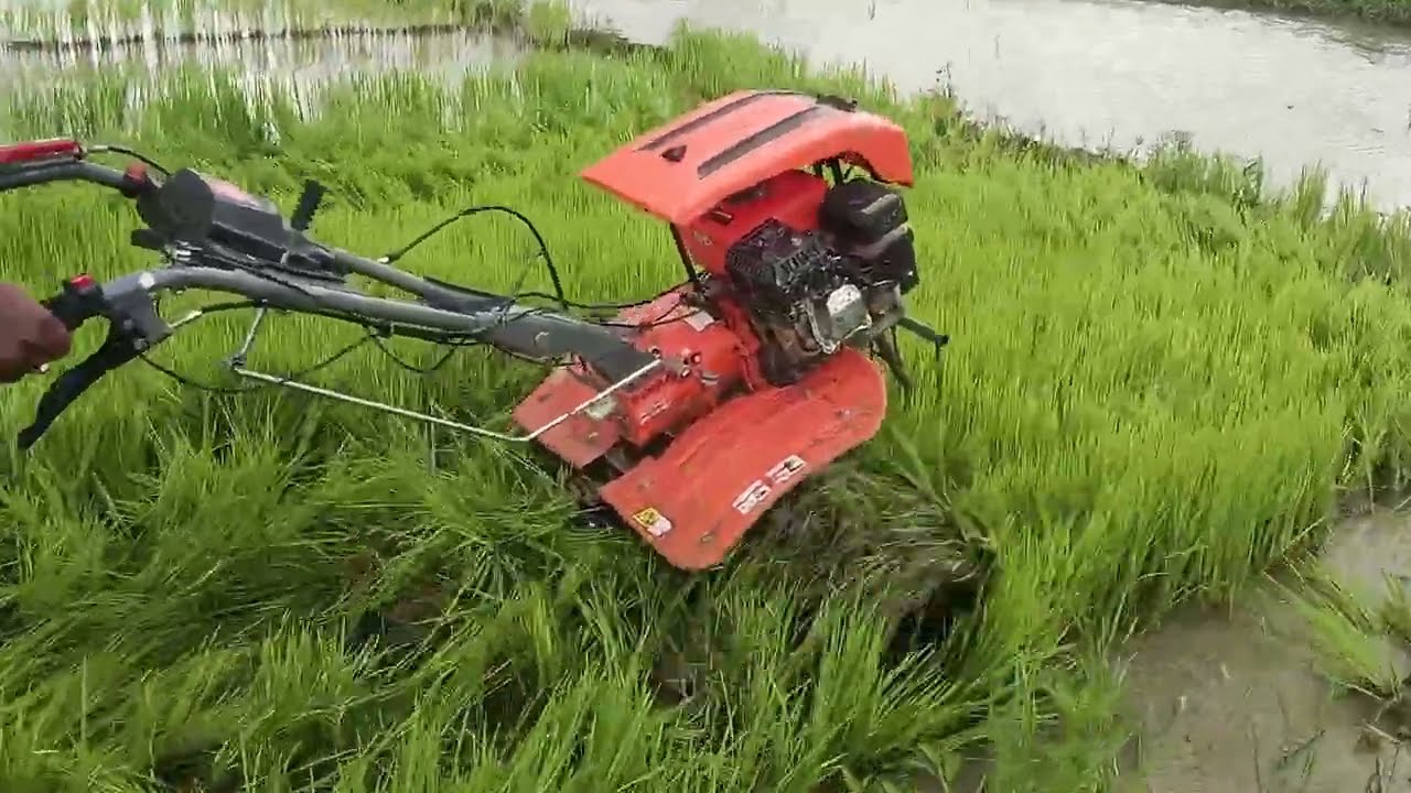 👉 New Heavy Farming Machine Demo | ତଳି କିଆରି ରେ Power Weeder ର ଧମାଲ! ⚡🚜