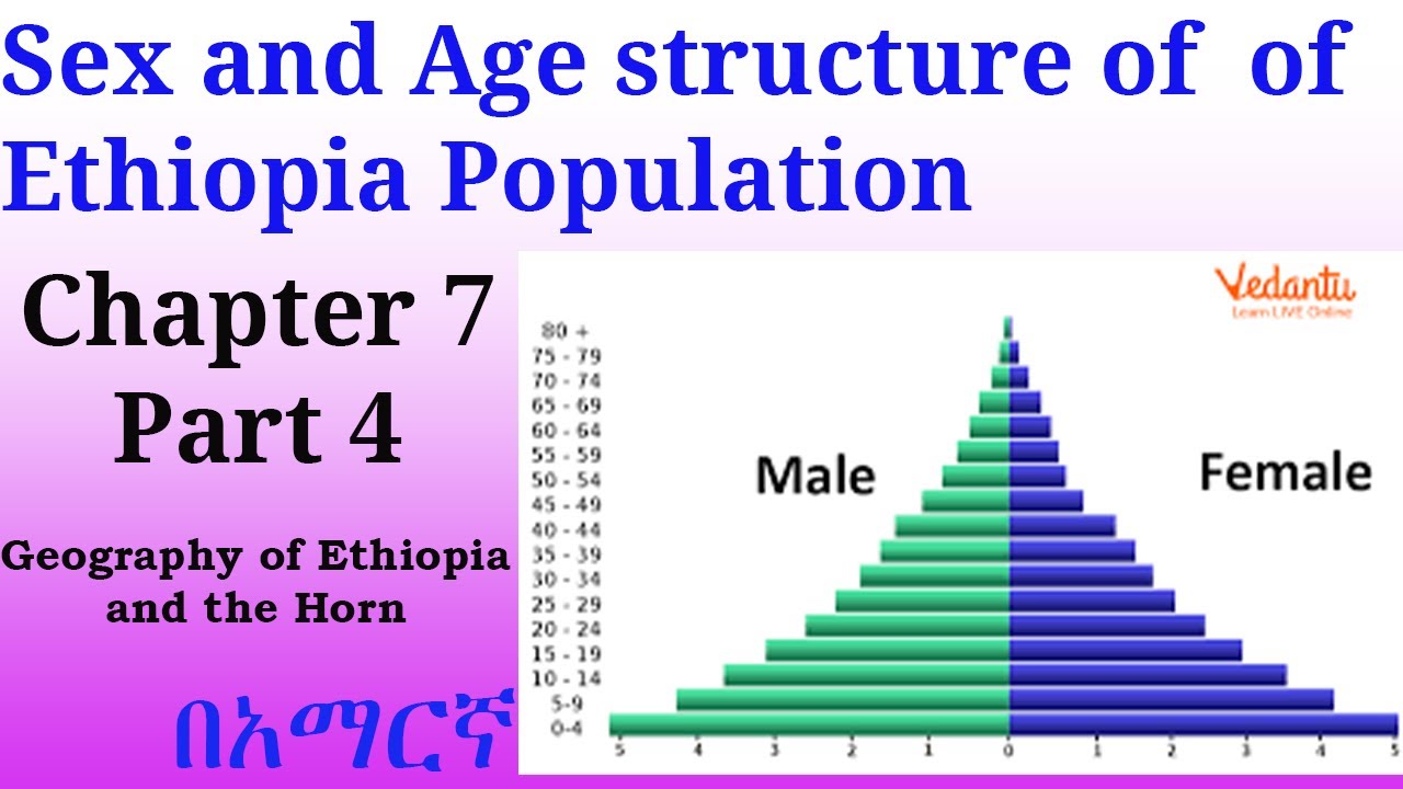 Age and sex structure of Ethiopia (geography of Ethiopia and the horn #Chapter 7 part 4)