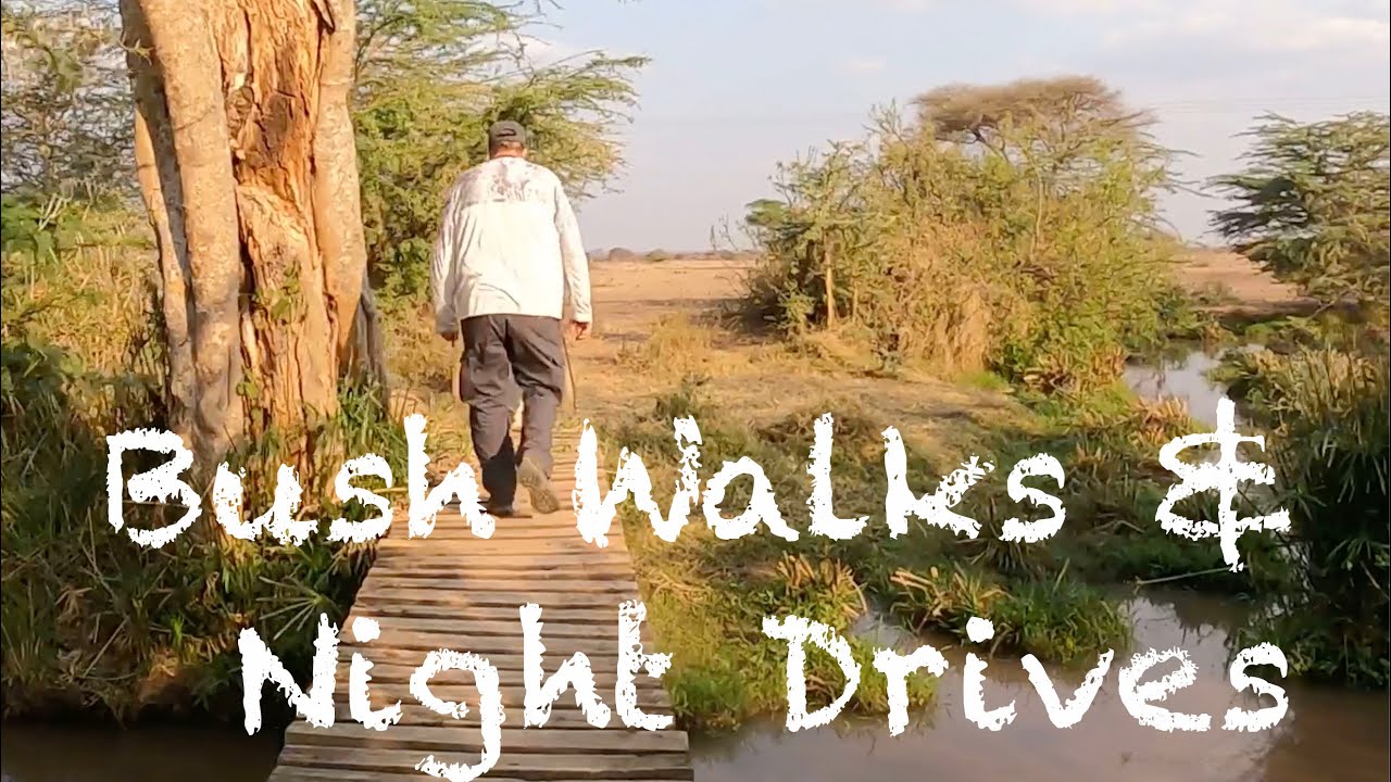 Our Kenyan Adventure Continues! Bush Walks & Night Drives at Voyager-Ziwani