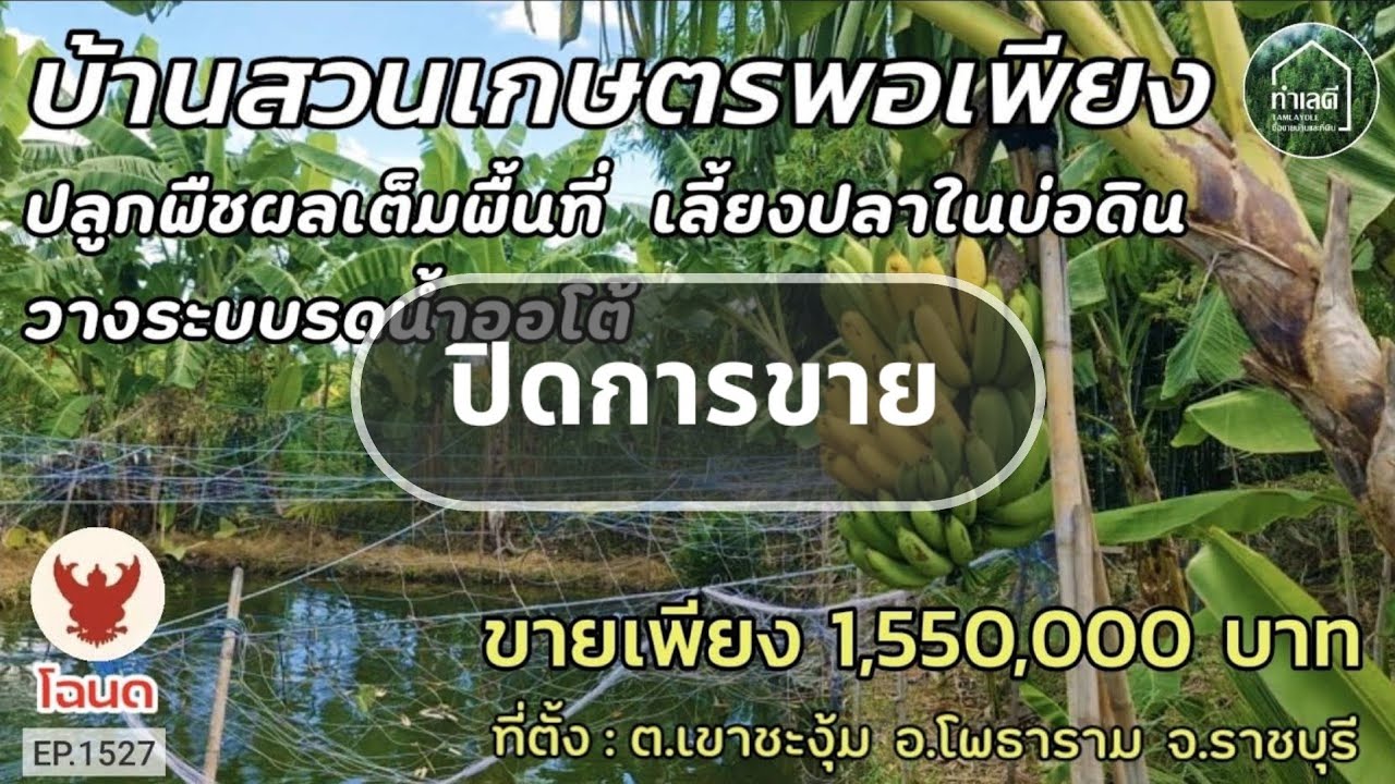 EP.1527 🔴 ปิดการขาย บ้านสวนเกษตรผสมผสาน มีบ่อเลี้ยงปลาพร้อมวางระบบรดน้ำอัตโนมัติ อ.โพธาราม จ.ราชบุรี
