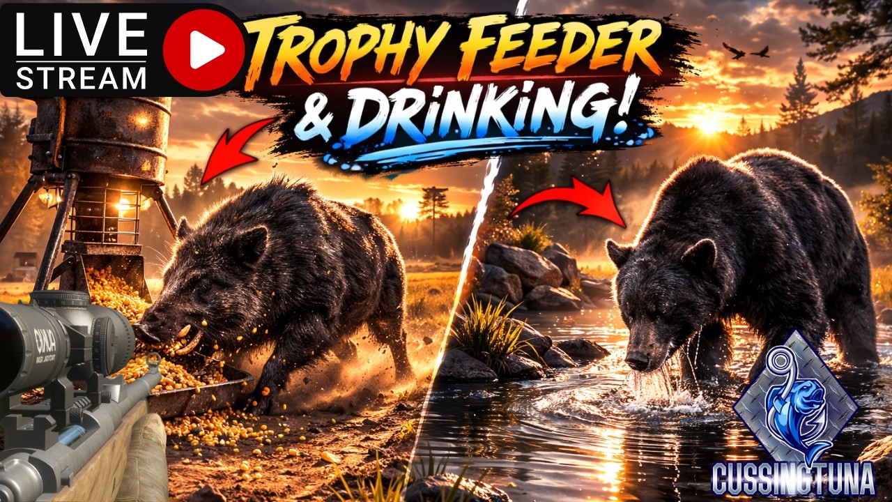 The Hunter: Call Of The Wild Grinding Bears & Boars!! #cotw #thehunter
