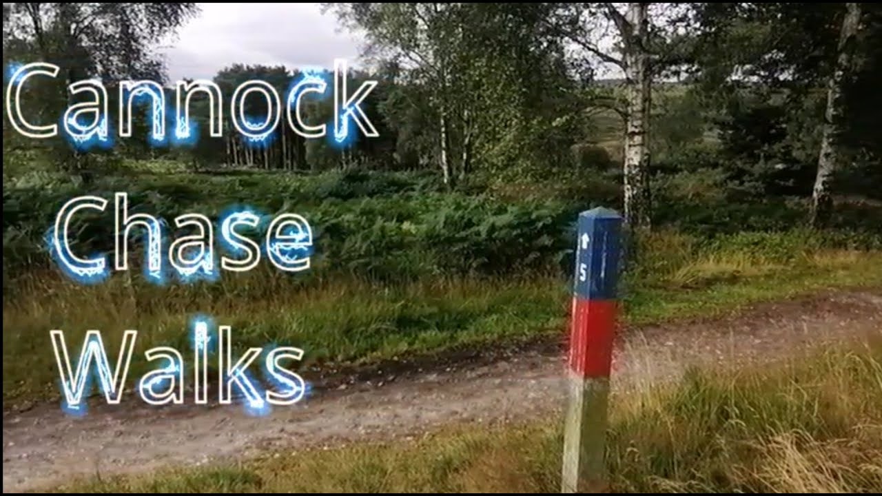 Cannock Chase: Brindley Heath Blue Route