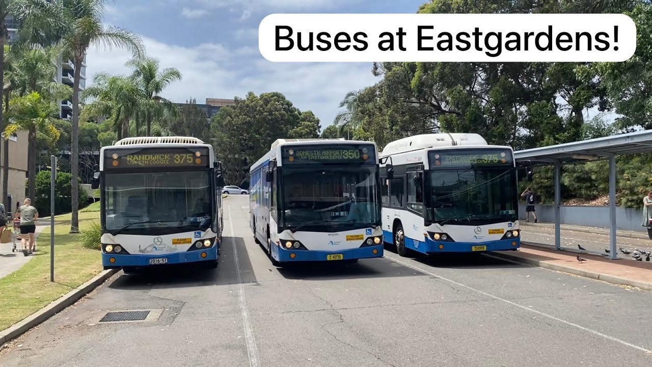 A Variety of Buses at Eastgardens! | Bus Vlog #18