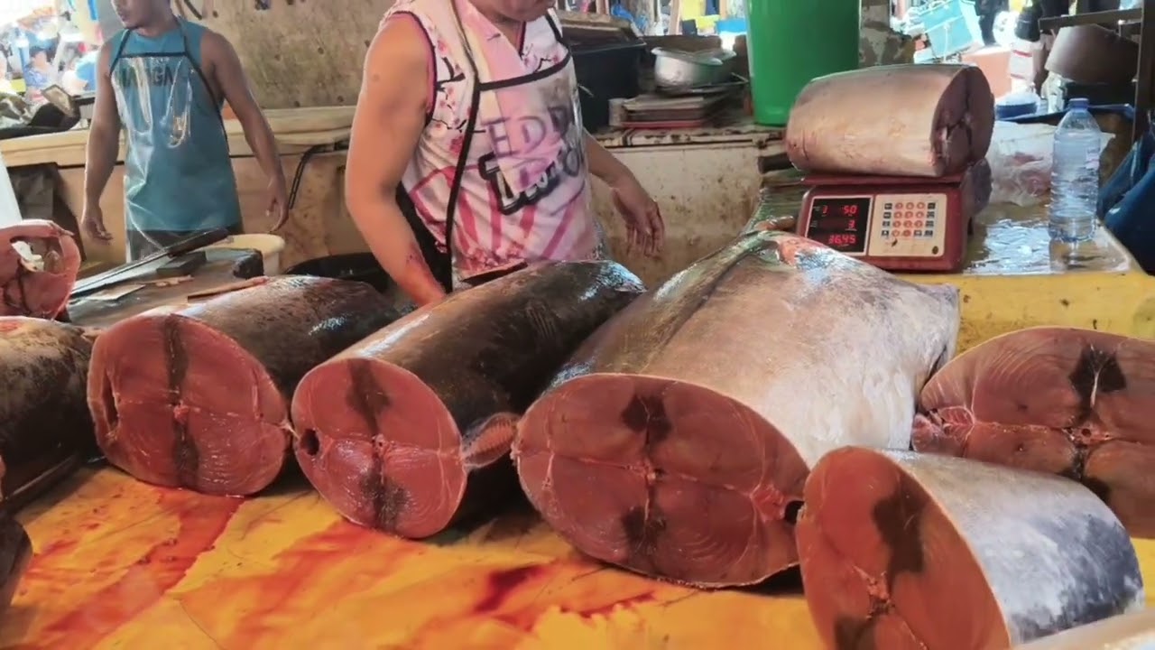 ANG FRESH PA NG MGA ISDA 