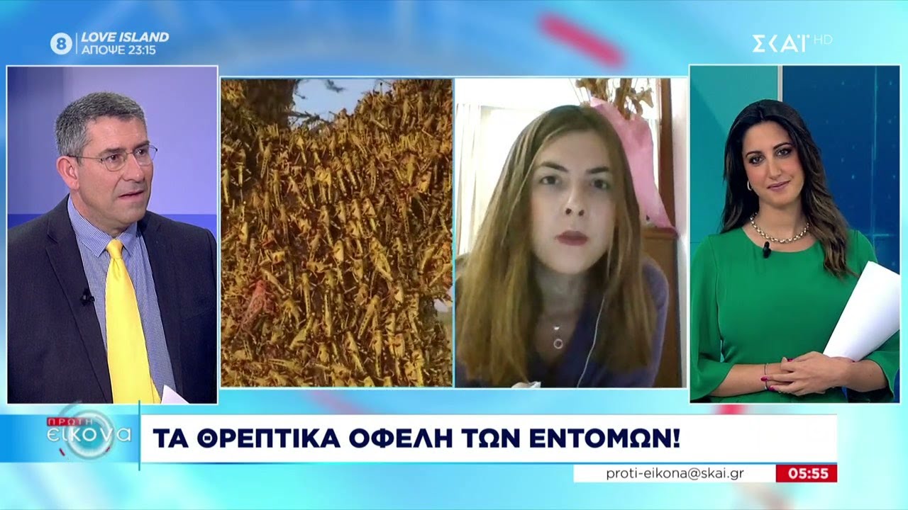 Συστάσεις να τρώμε γρύλους, ακρίδες και αλευροσκώληκες - Τα θρεπτικά οφέλη των εντόμων