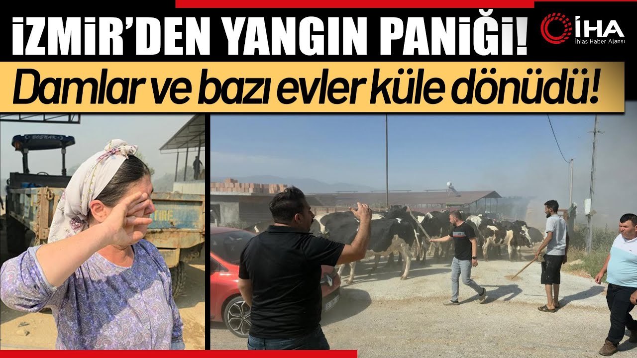 Tire'de makilik alandaki yangın köye sıçradı, bazı evler ve damlar küle döndü