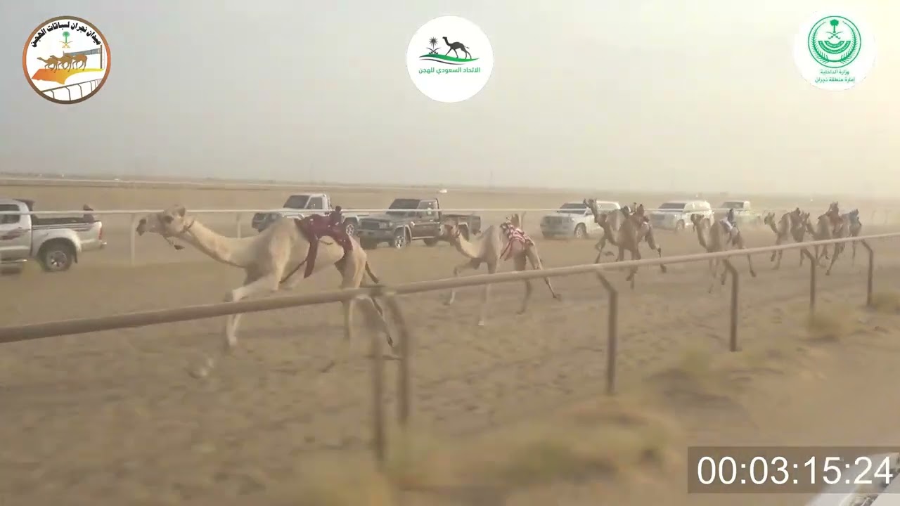 ٧/ قعدان حقايق / ٣٠٠٠ م / شاهين / فهيد حسين الصقور