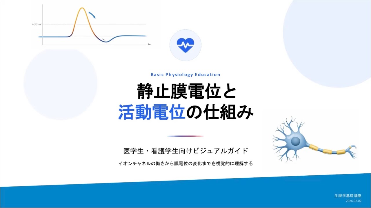 【5分で完全理解】活動電位の仕組み｜静止膜電位・脱分極・過分極を中学生でも分かるように解説【CBT・国試】