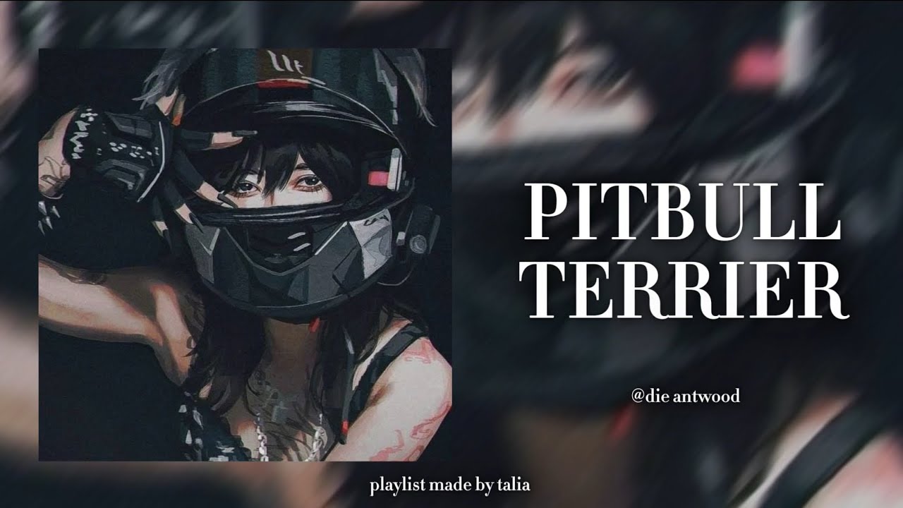 tiktok edit audios i blast at 3am 🖤💋