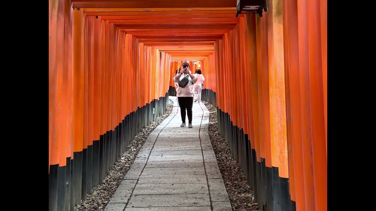 Land of 1,000 Gates (Senbon Torii) #senbontorii #kyoto #japan