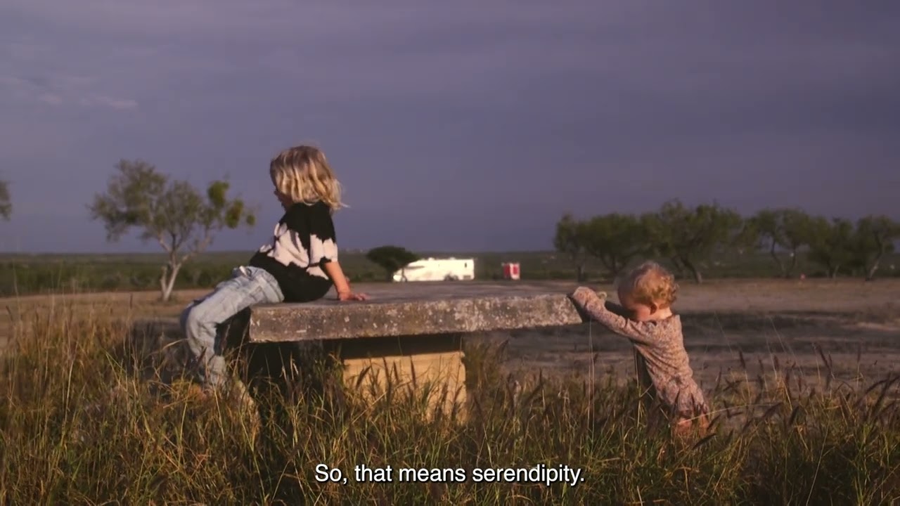 Trailer Serendipity