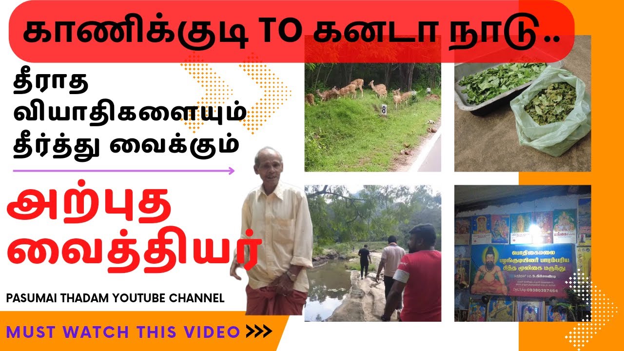 🔥தீராத வியாதிகளையும் தீர்த்து வைக்கும் அற்புத வைத்தியர்😲😱||பாபநாசம்||Tamil medicine⚕️