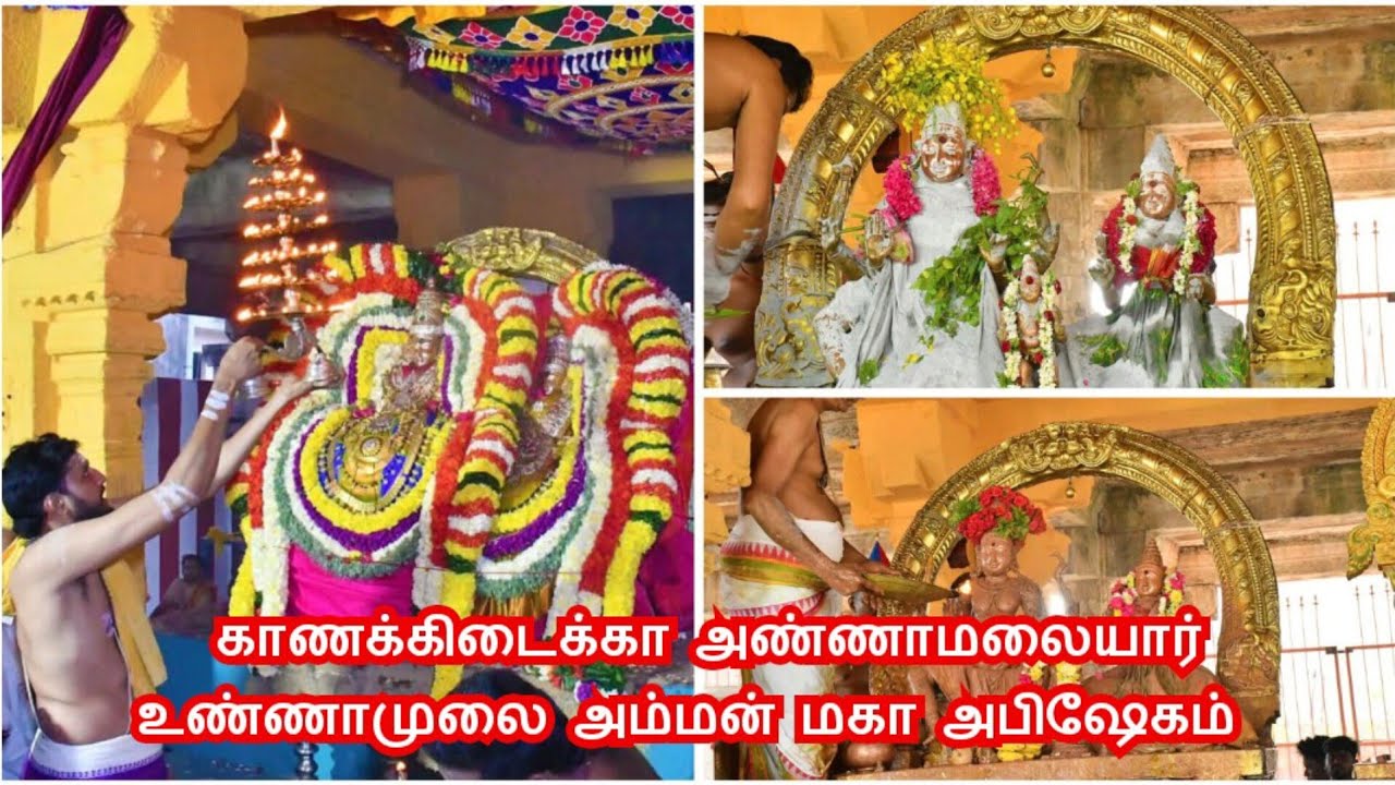 காணக்கிடைக்கா அண்ணாமலையார் உண்ணாமுலை அம்மன் மகா அபிஷேகம்.