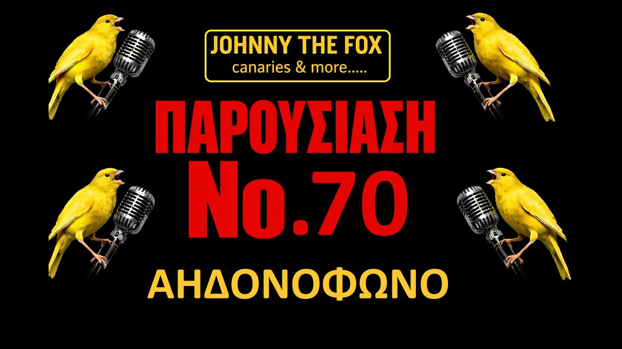 AHΔΟΝΟΦΩΝΟ     ΠΑΡΟΥΣΙΑΣΗ Νο 70