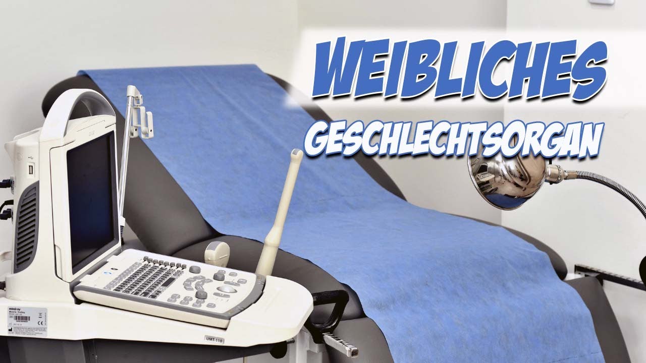 Geschlechtsorgane: Weibliches Geschlecht | Anatomie | Pflege Kanal