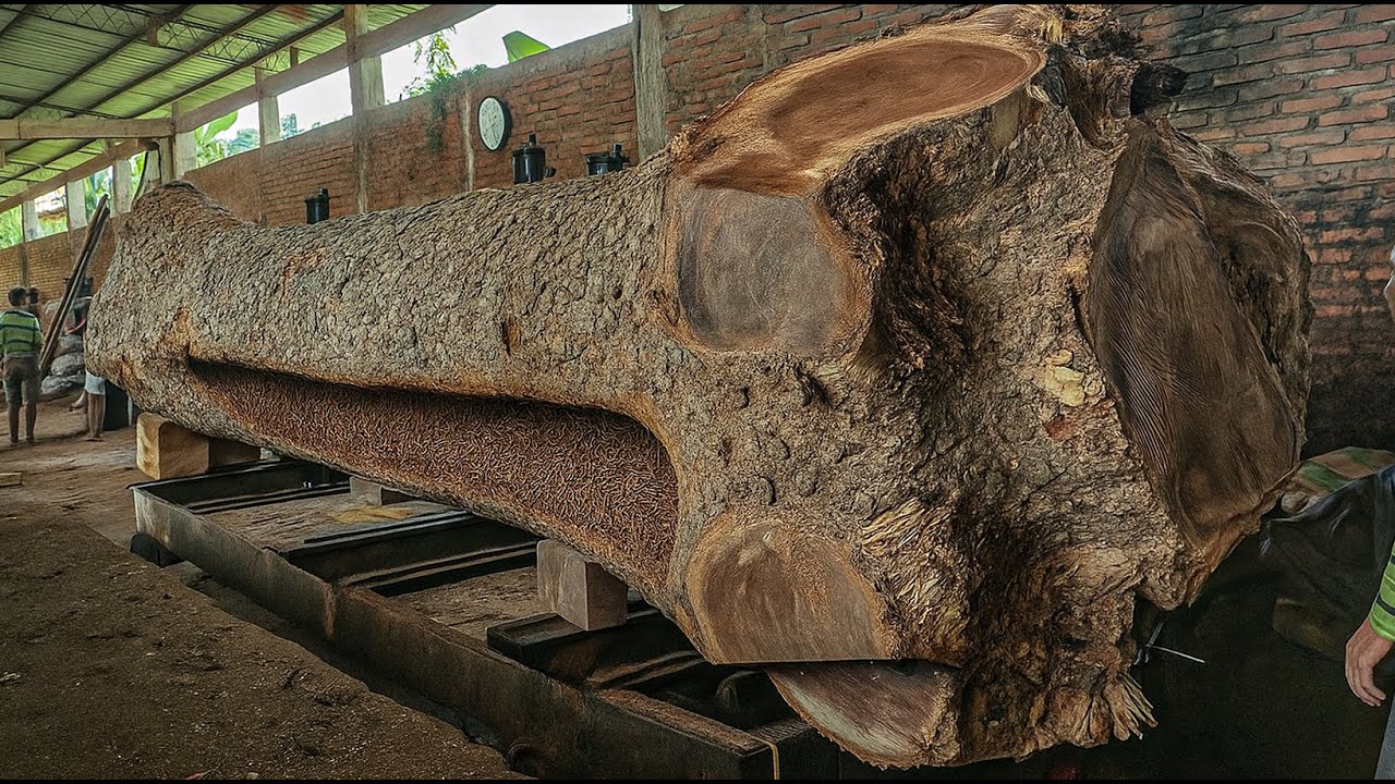 This Trembesi Log Hid Something Unbelievable ‼️ Sawmill Workers in Shock!