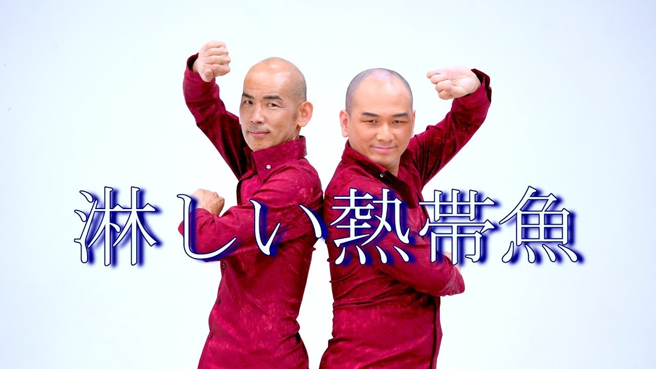 【淋しい細魚】淋しい熱帯魚／木山裕策、Mr.シャチホコ【イエベとブルベ】