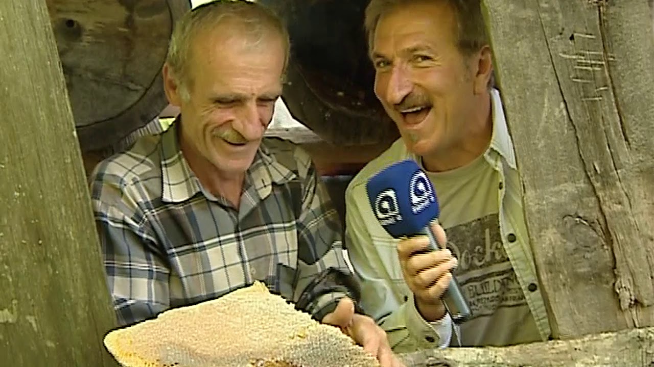 ARTVİN  MACAHEL  / ARI VE BAL