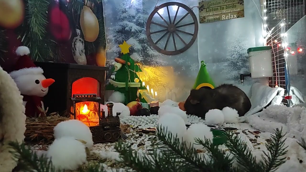 Osa12 joulukuun video