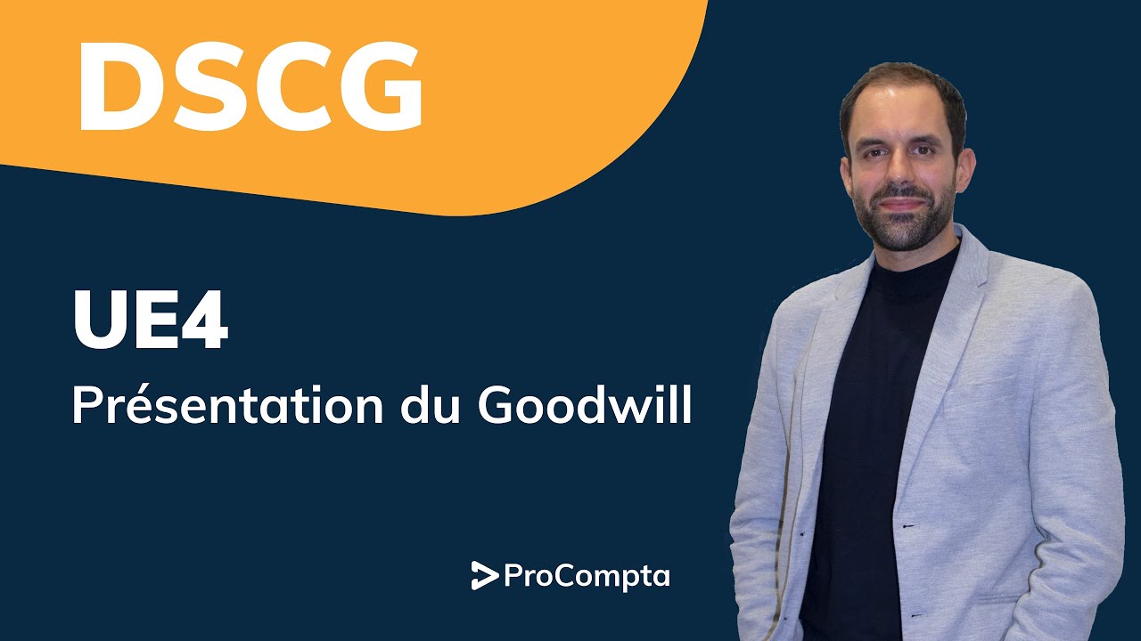 DSCG UE4 : Présentation du Goodwill