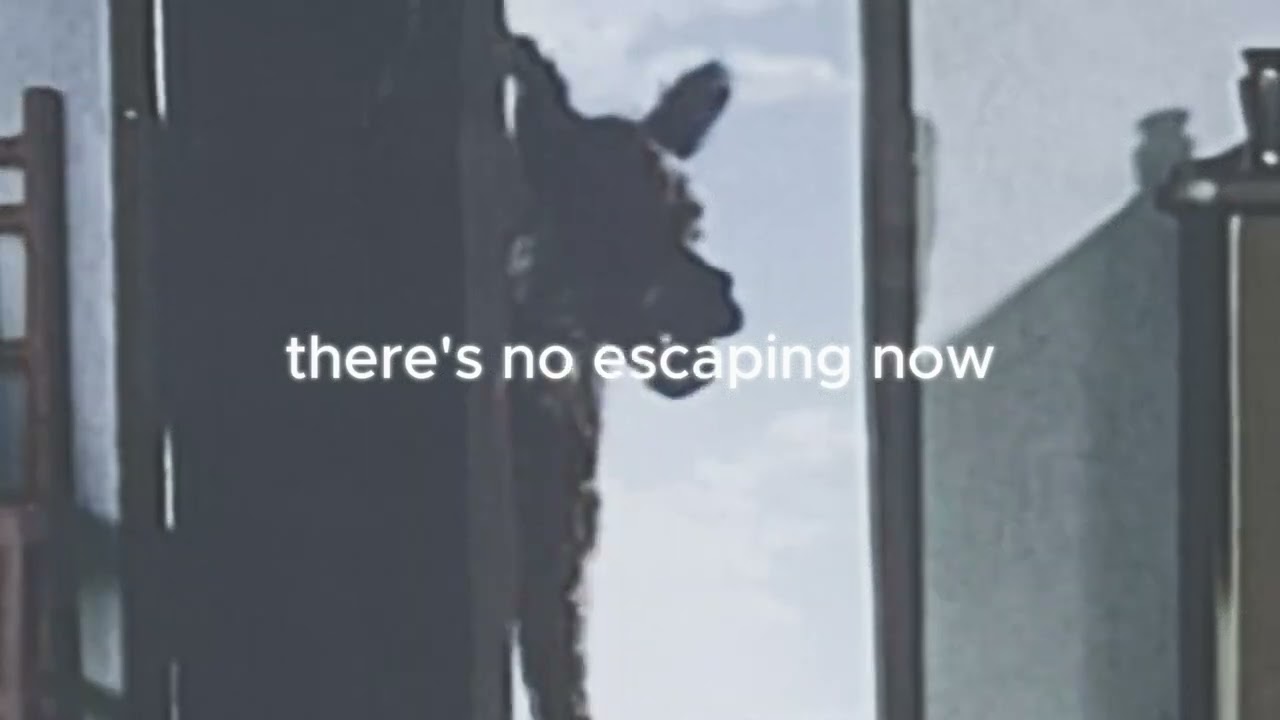 Stephen Sanchez - Howling at Wolves (Lyric Video)