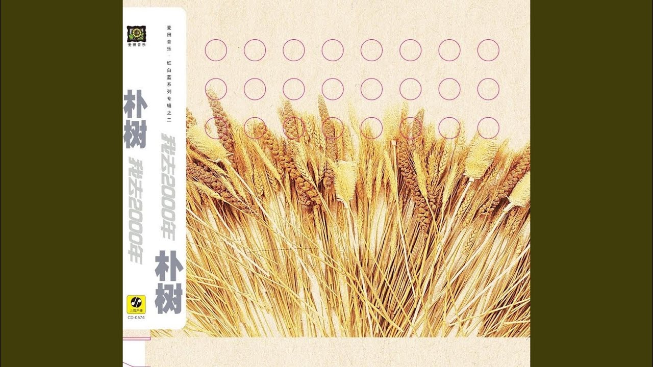 我去2000年