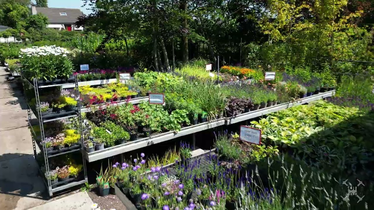Tuincentrum Voordeeltuin Bedrijfsvideo 4K
