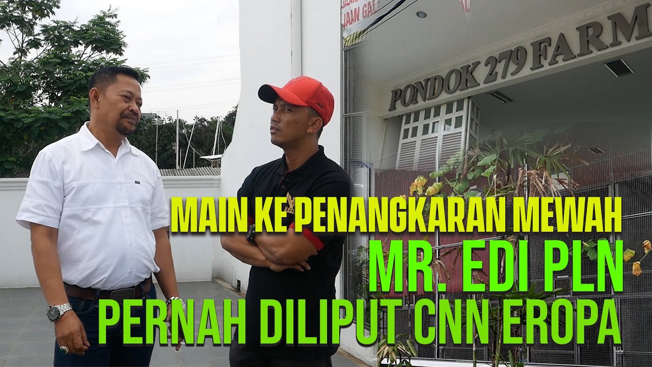 Prio Excellent Vlog#15 Main ke Penangkaran Mewah Mr. Edi PLN, Pernah Diliput CNN Eropa