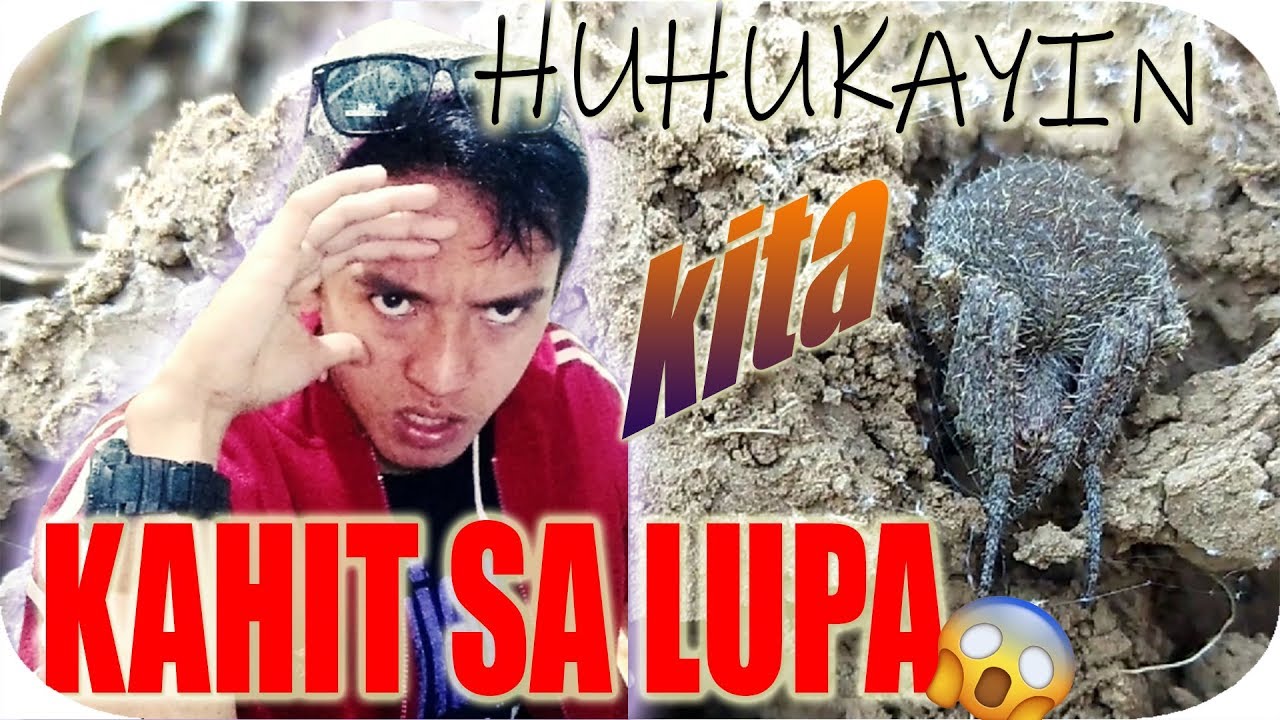 🕸KAHT SA ILALIM KA NG LUPA MAGTAGO HAHANAPIN KITA (binaliktad ko yung gloves)