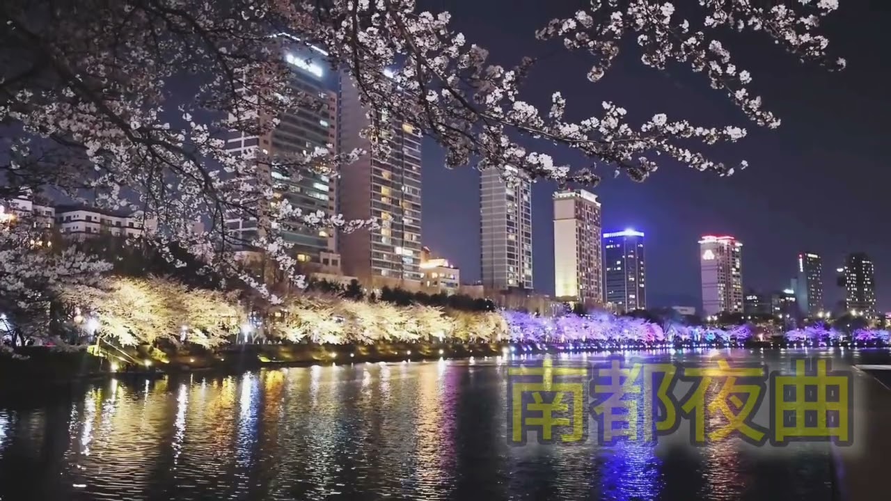 #南都夜曲/鋼琴演奏                piano cover 