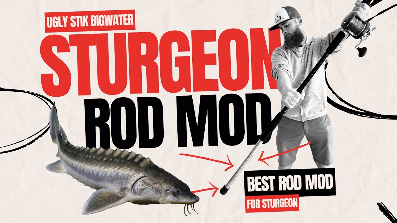 Best Sturgeon Rod Modification