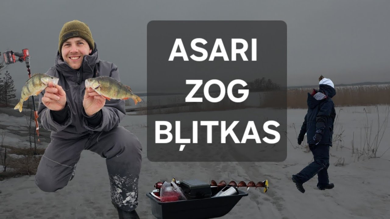 SOMIJAS ASARU COPE MARTĀ. ASARI RAUJ BĻITKAS!