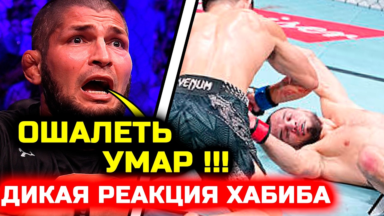 Khabib's wild reaction to Umar's defeat! Song Yadong Umar Nurmagomedov fight knockout Makhachev