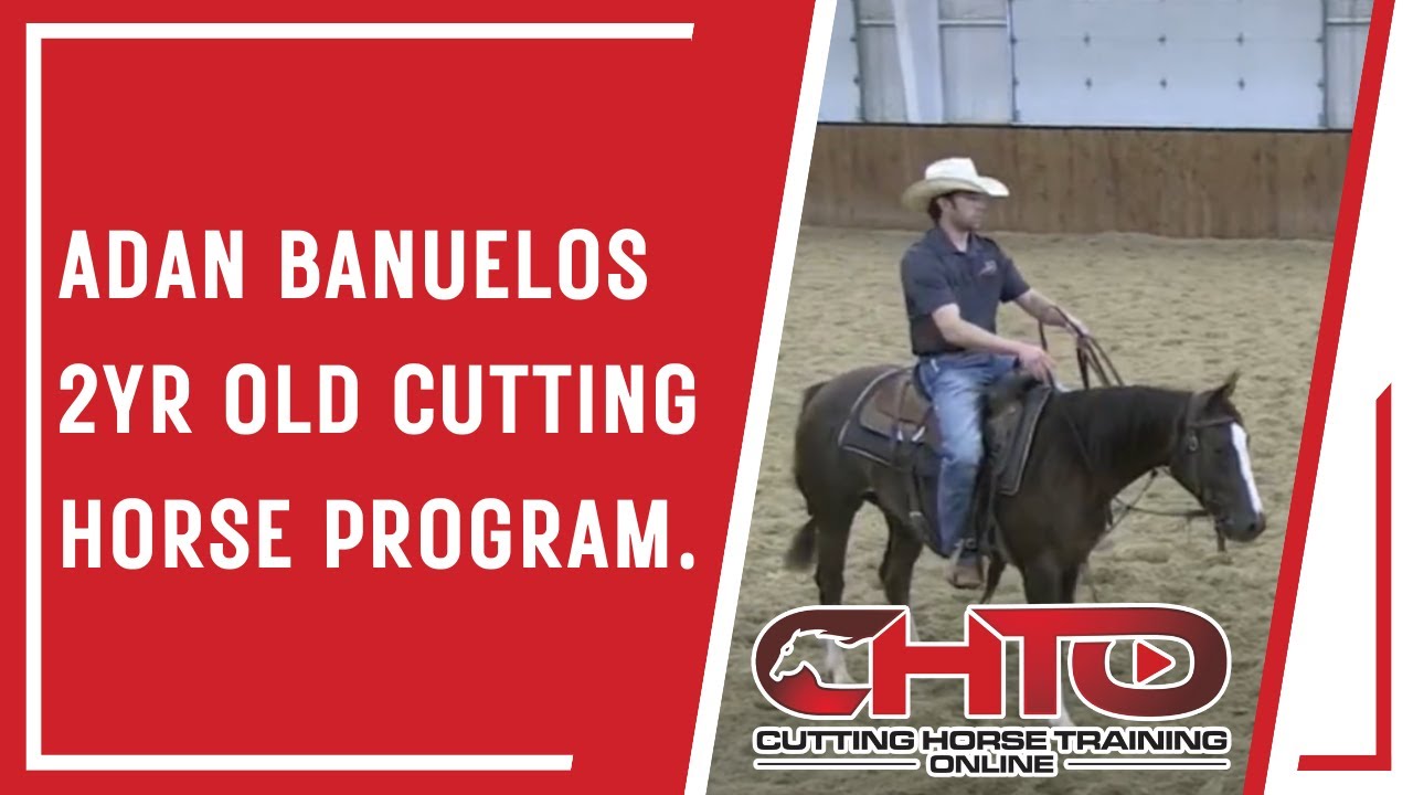 Adan Banuelos 2yr Old Cutting Horse Program.