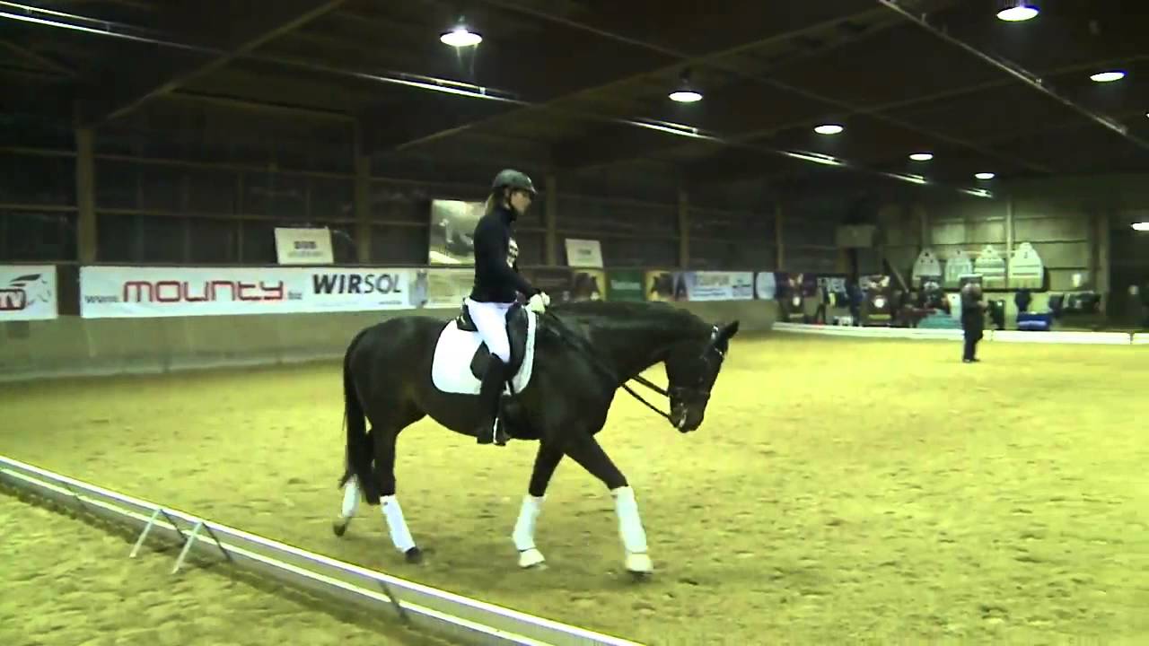 Klaus Balkenhol - Alte Meister - in Stuttgart, Leonberg - Teil 4c