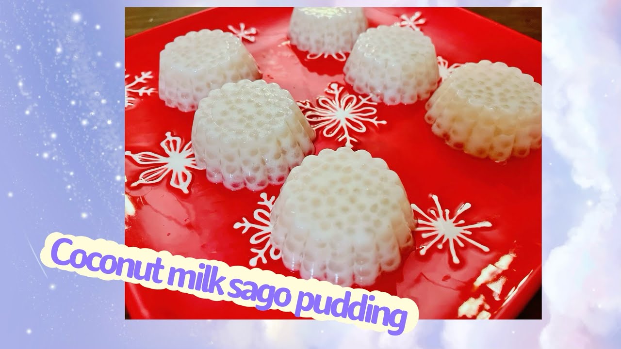 Homemade delicious healthy sweet and smooth coconut milk sago pudding 