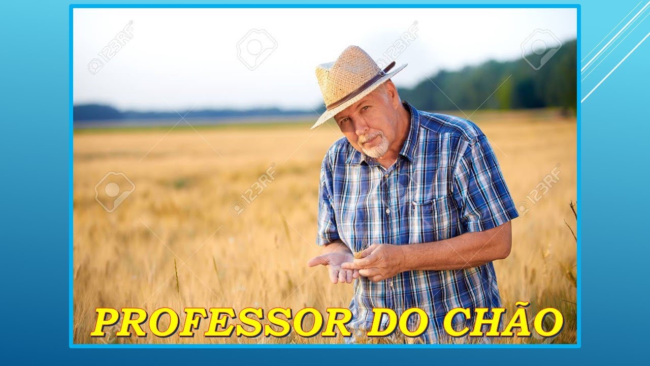 PROFESSOR DO CH&Atilde;O ***** C&Eacute;LIO E LEANDRO - Compositor - Ademyr Rico