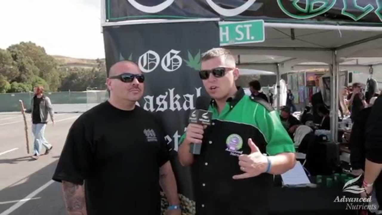 2015 HIGH TIMES NorCal Medical Cannabis Cup - OG Raskal Genetics